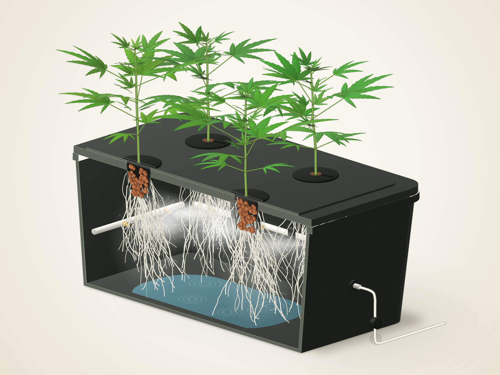Cutaway of the Jardin root chamber: roots hanging in fine mist, with a shallow lifeboat pool on the floor