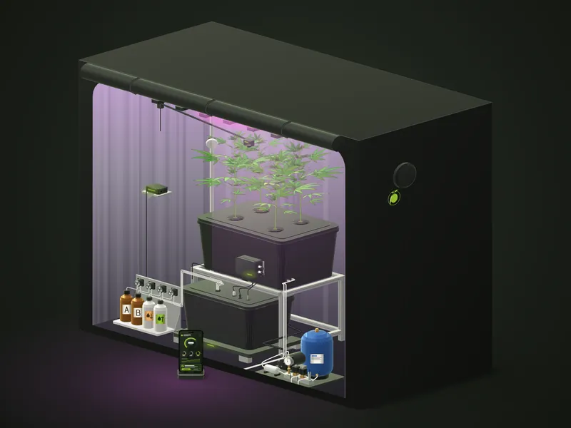 Jardin installé dans une tente de culture sous une lumière violette, avec la baie de dosage, le réservoir sous pression et le téléphone à côté